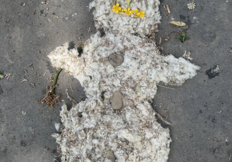 Land_Art
