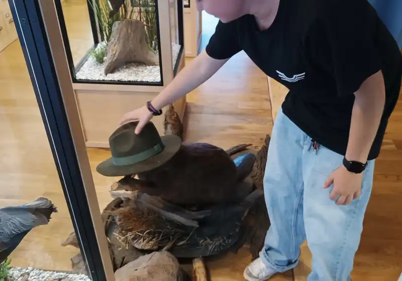 Adapťák 9.B