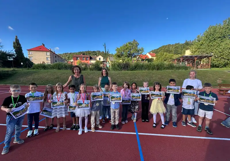 NŠR3