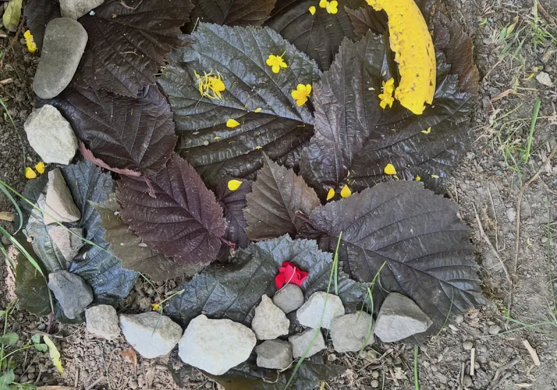 Land_Art