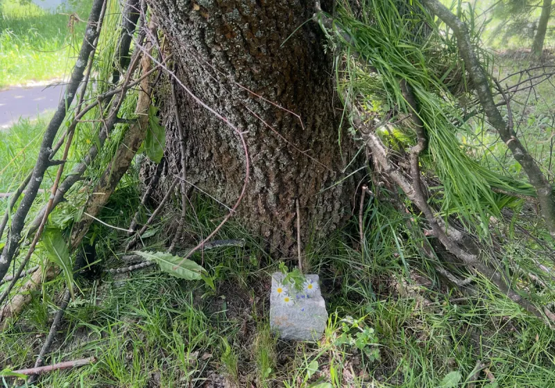 Land_Art