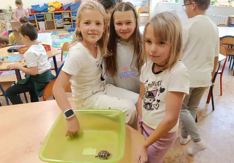 Želva ve školní družině